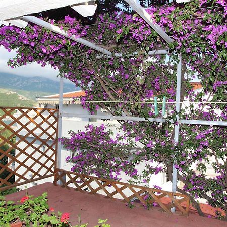 Apartment Sandra Budva Zimmer foto