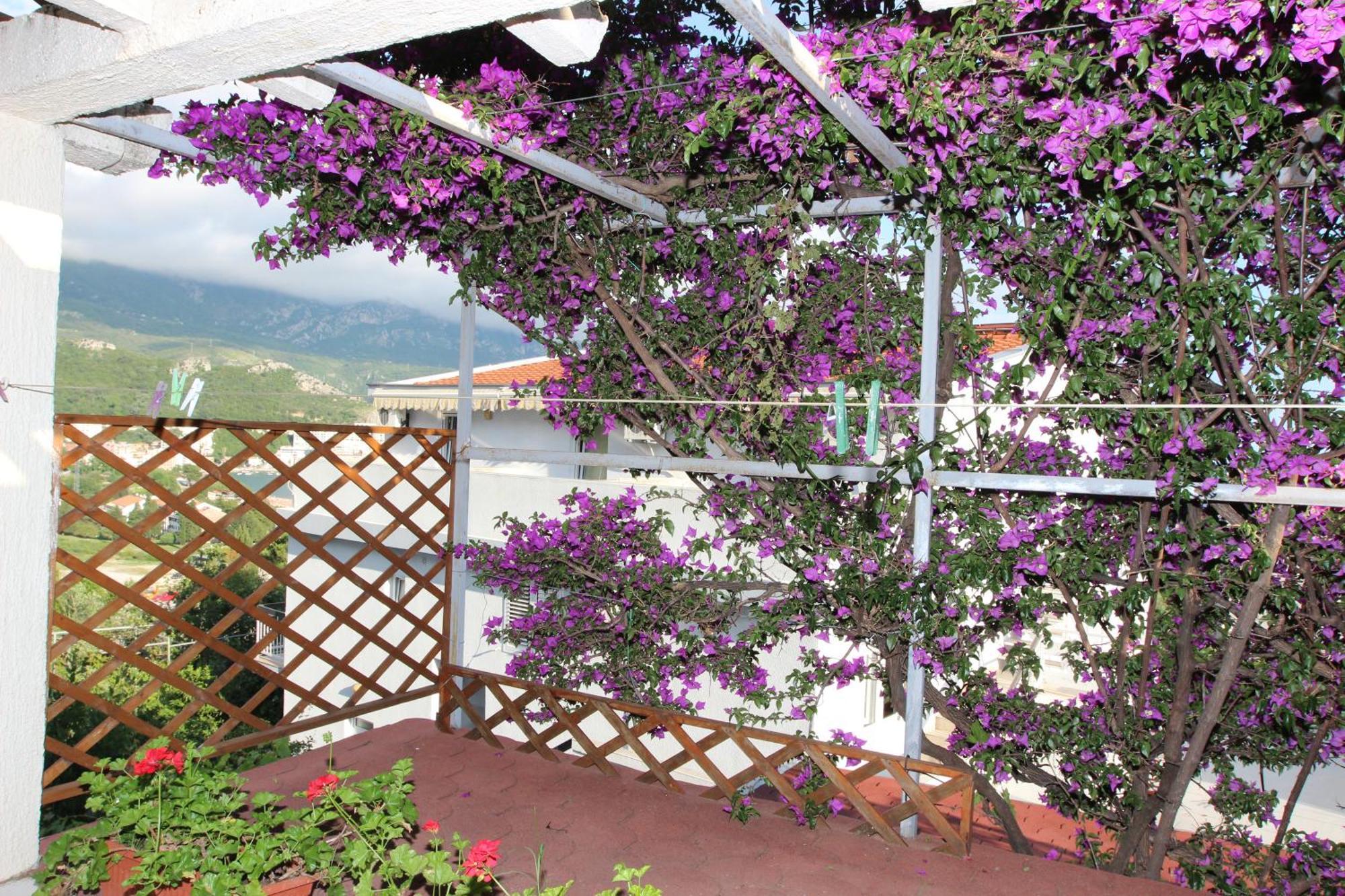 Apartment Sandra Budva Zimmer foto